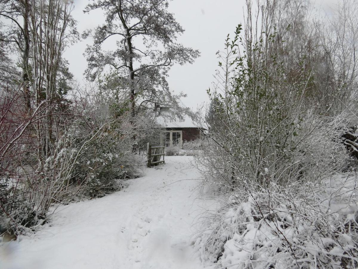 Uylkenshof Safaritenten En Natuurhuisjes Epe Esterno foto