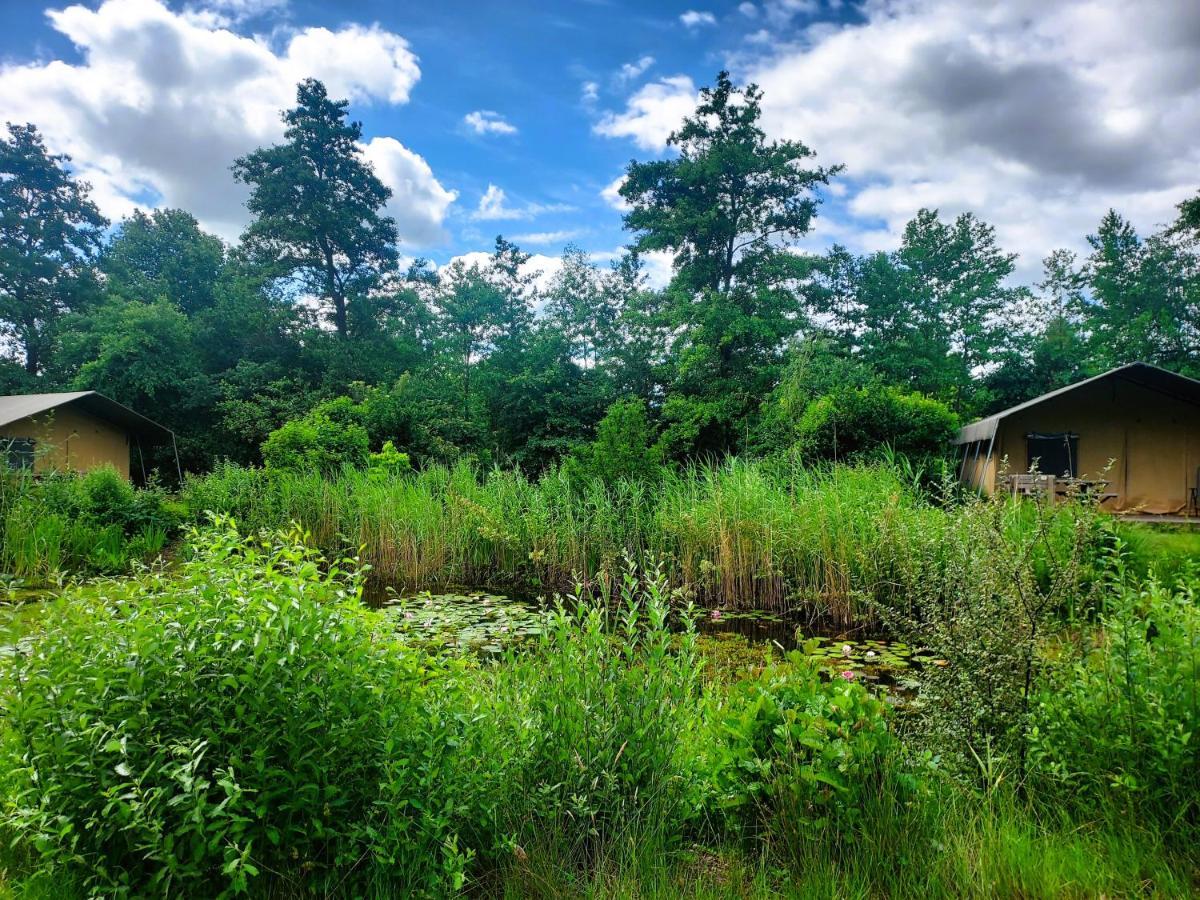 Uylkenshof Safaritenten En Natuurhuisjes Epe Esterno foto