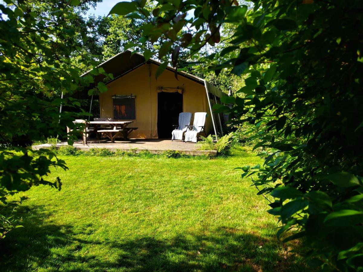 Uylkenshof Safaritenten En Natuurhuisjes Epe Esterno foto