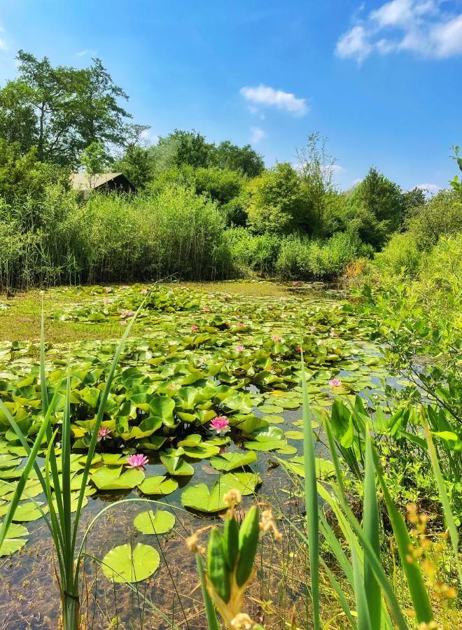 Uylkenshof Safaritenten En Natuurhuisjes Epe Esterno foto