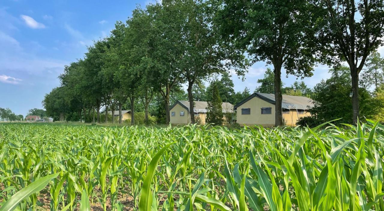 Uylkenshof Safaritenten En Natuurhuisjes Epe Esterno foto